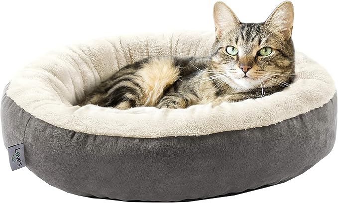 Comfy Cat Bed